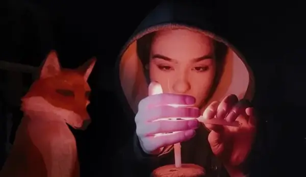 O vulpe sub o lună roz