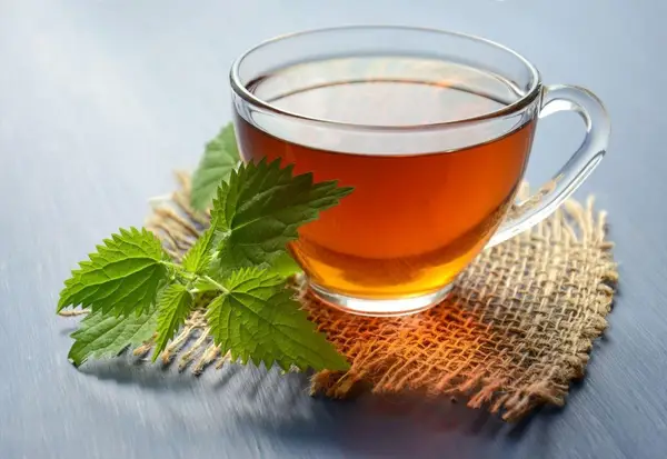 Ce ceaiuri sau produse naturale ajută la calmarea disconfortului urinar? 7 opțiuni și criterii de alegere în 2026