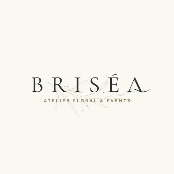 Brisea