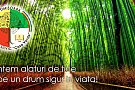 Colegiul Silvic Casa Verde