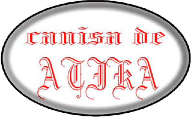 Canisa de Atika Timisoara - dresaj canin