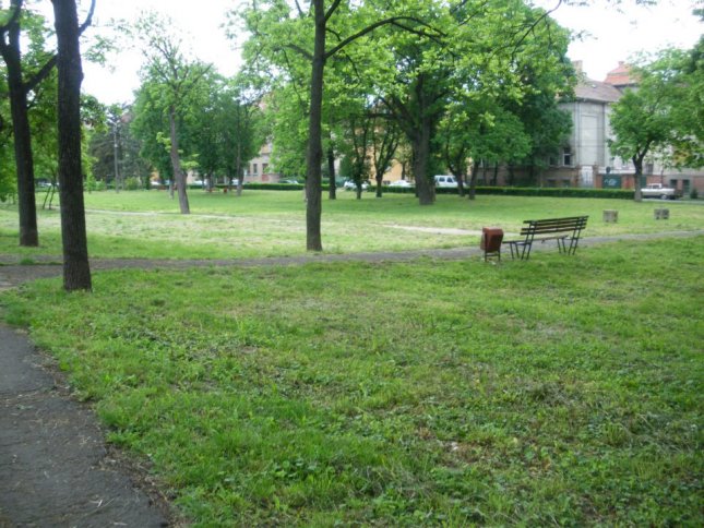 Parcul Andrei Mocioni