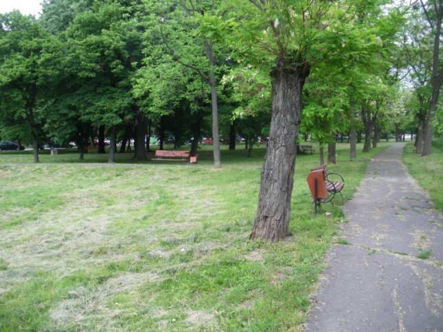 Parcul Andrei Mocioni din Timisoara