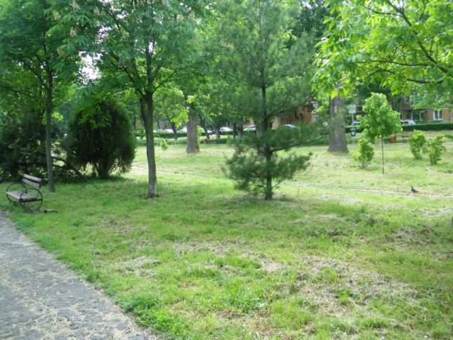 Parcul Andrei Mocioni din Timisoara
