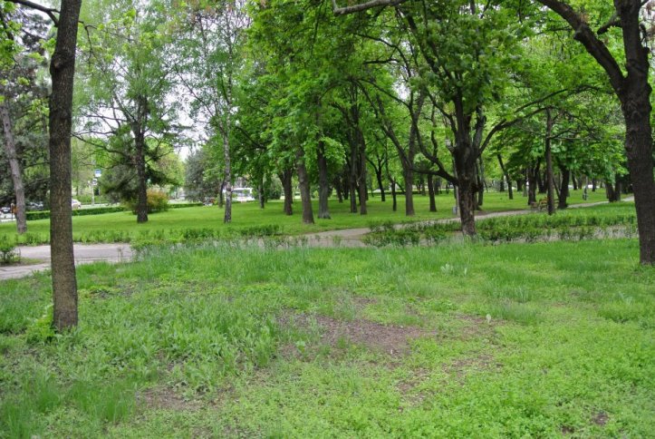 Parcul Civic din Timisoara