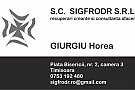 Sigfrodr