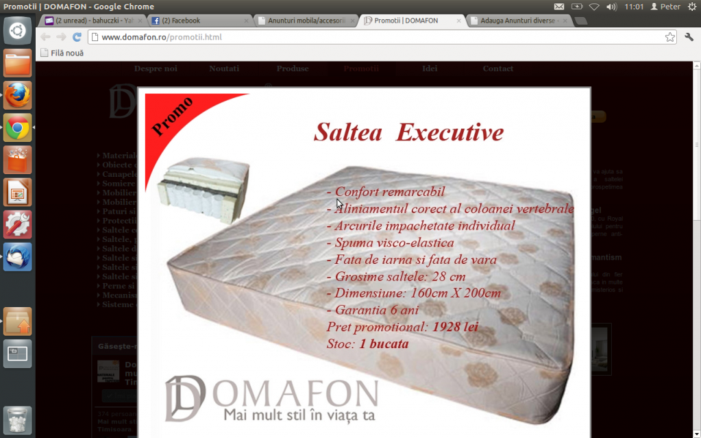 Saltea Executive la promotie