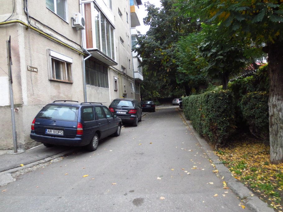 Aleea Minis
