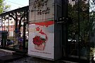Floraria Flori de Vis Timisoara