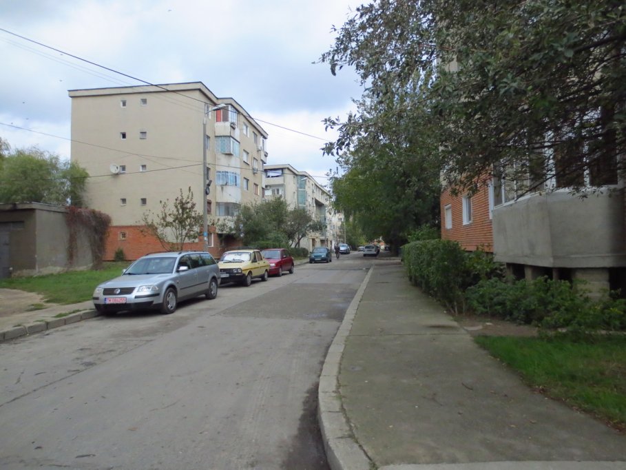 Intrarea Iulia Simu