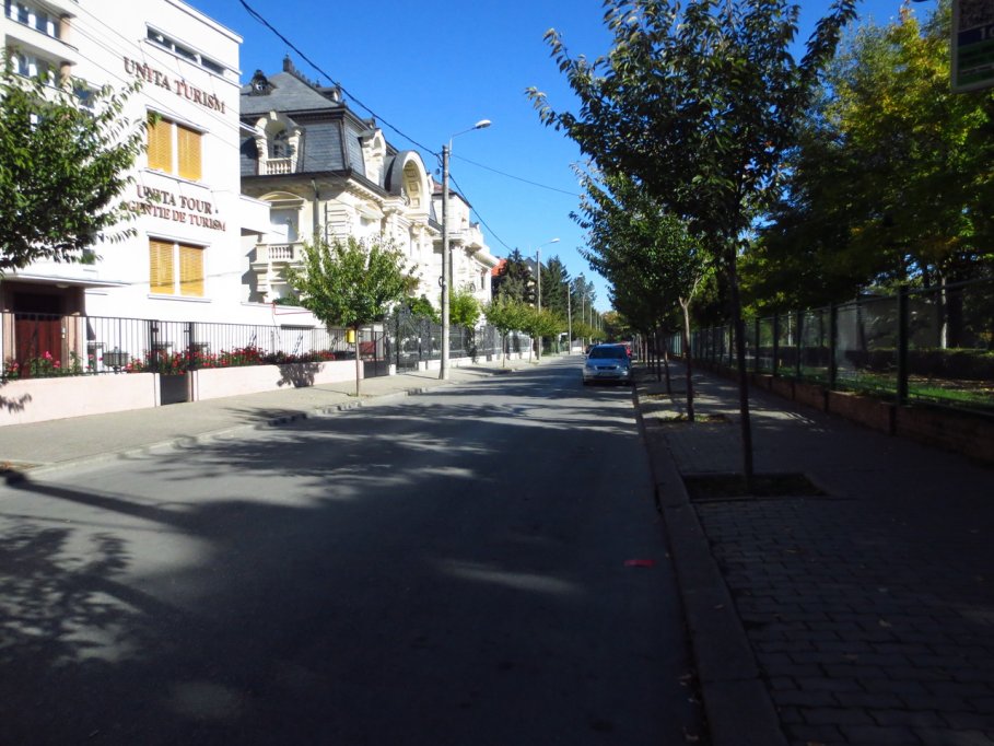 Strada Academician Alexandru Borza