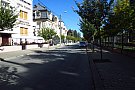 Strada Academician Alexandru Borza din Timisoara
