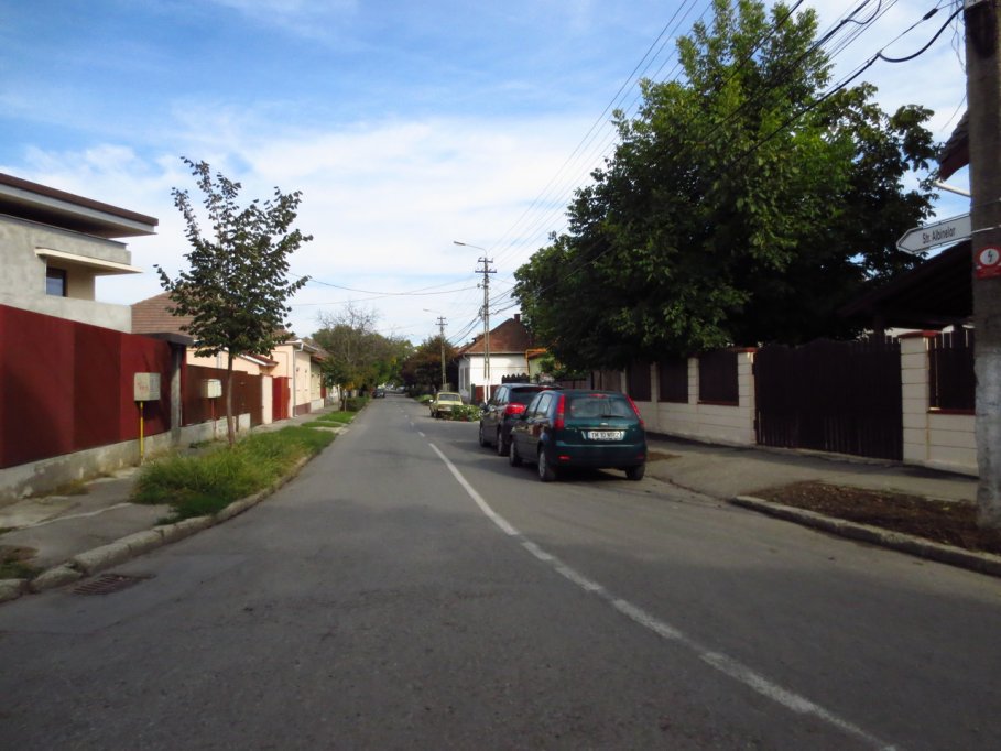 Strada Albinelor