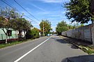 Strada Albinelor
