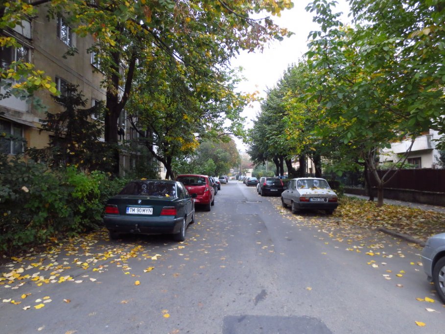Strada Charles Darwin