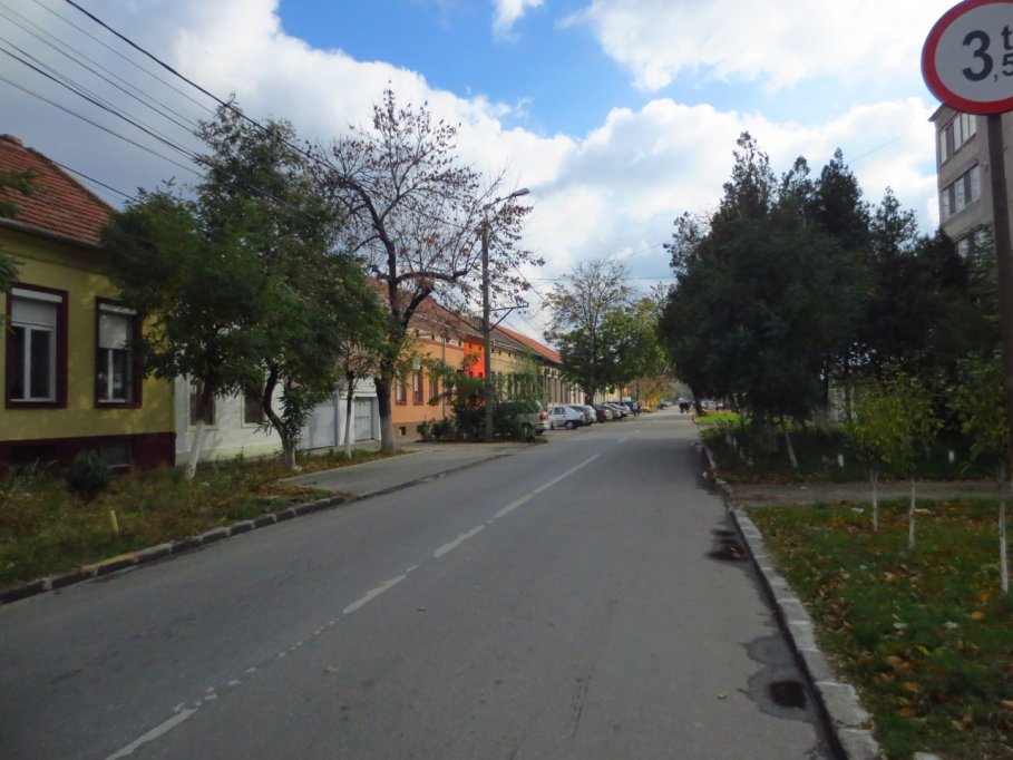 Strada Crizantemelor