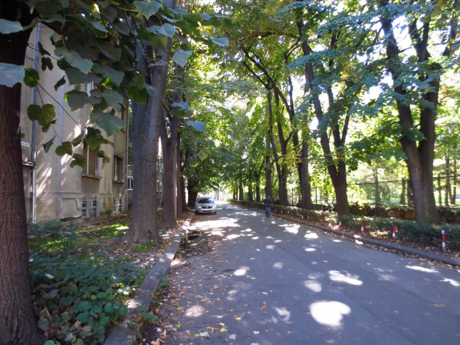 Strada George Enescu