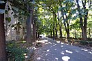 Strada George Enescu