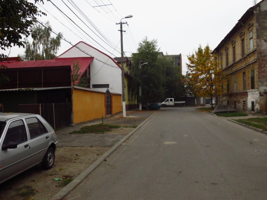 Strada Leului