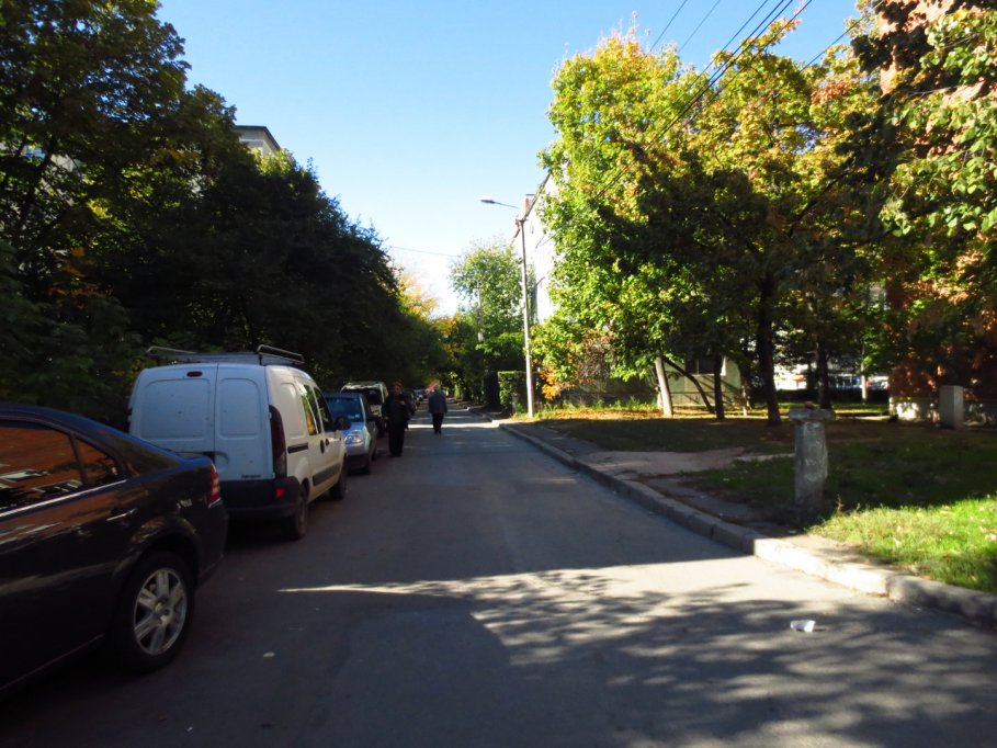Strada Martir Remus Tasala