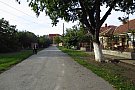 Str. Molidului