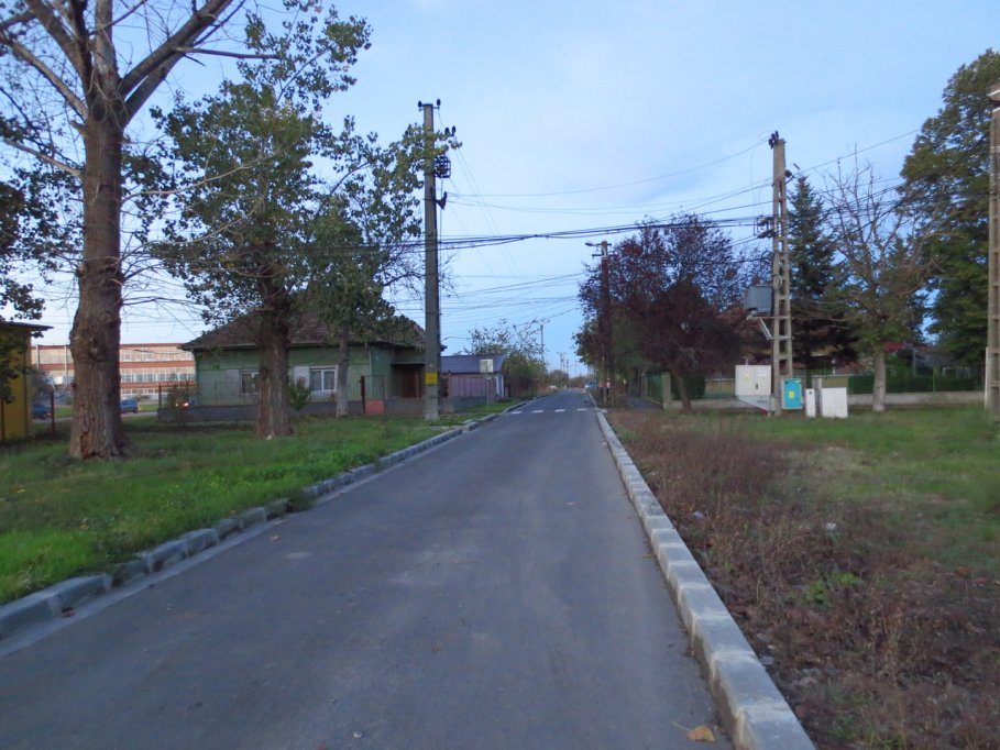 Strada Olarilor