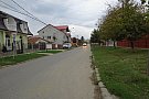 Strada Palmierilor