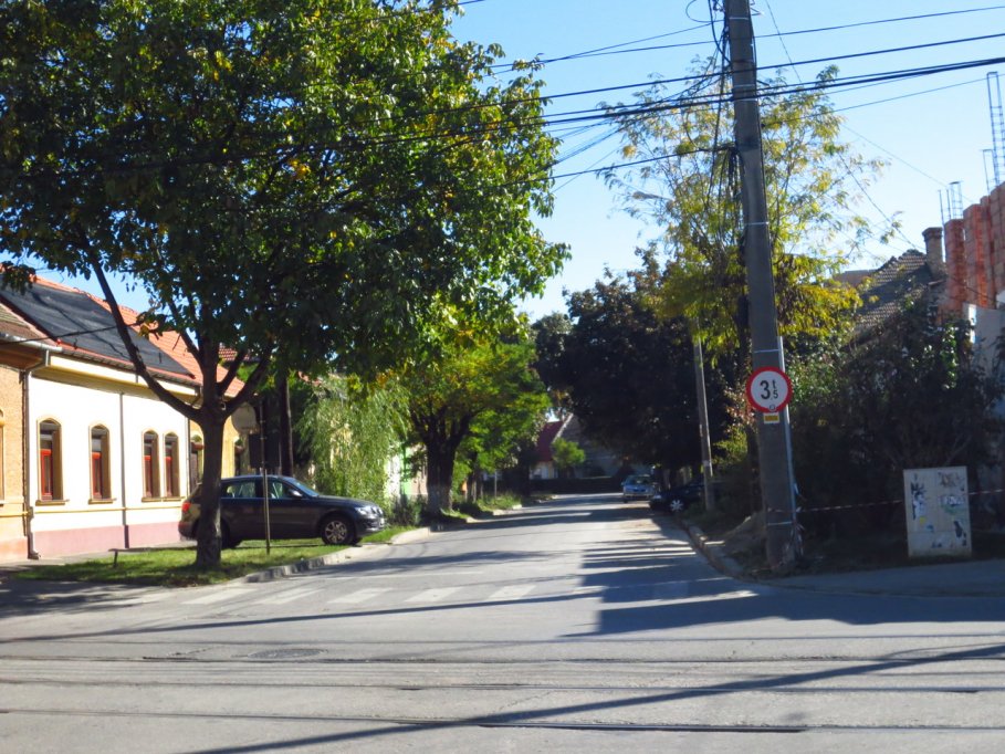 Strada Sava Petrovici
