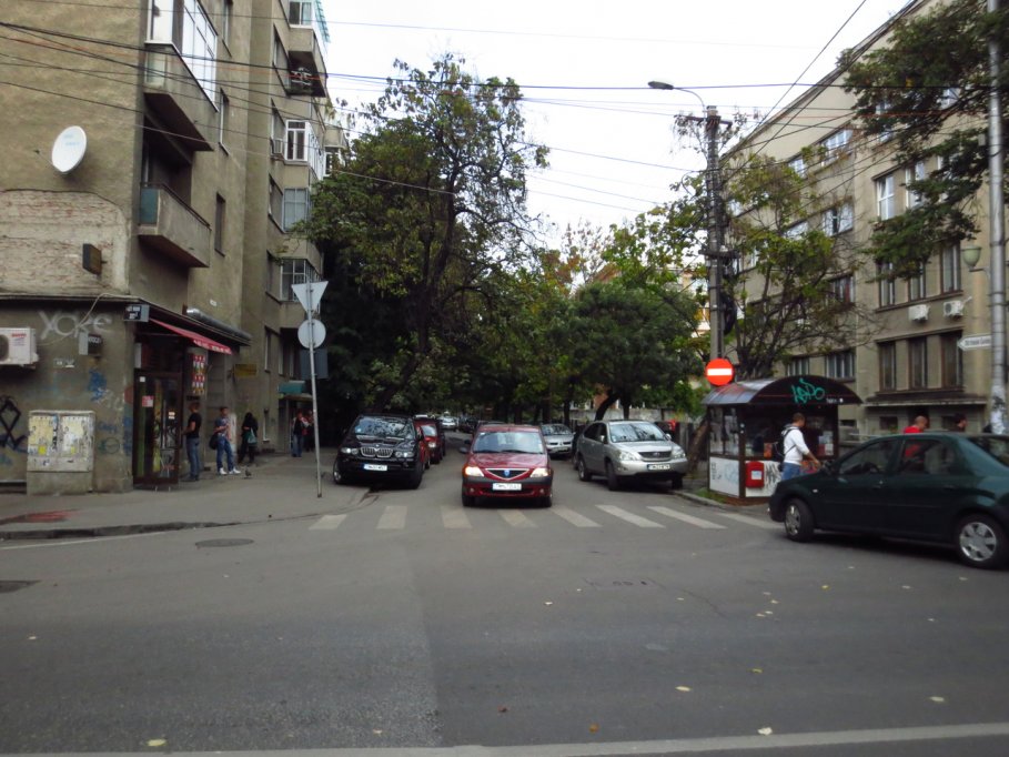 Strada Vasile Goldis