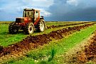 Camera Agricola a Judetului Timis
