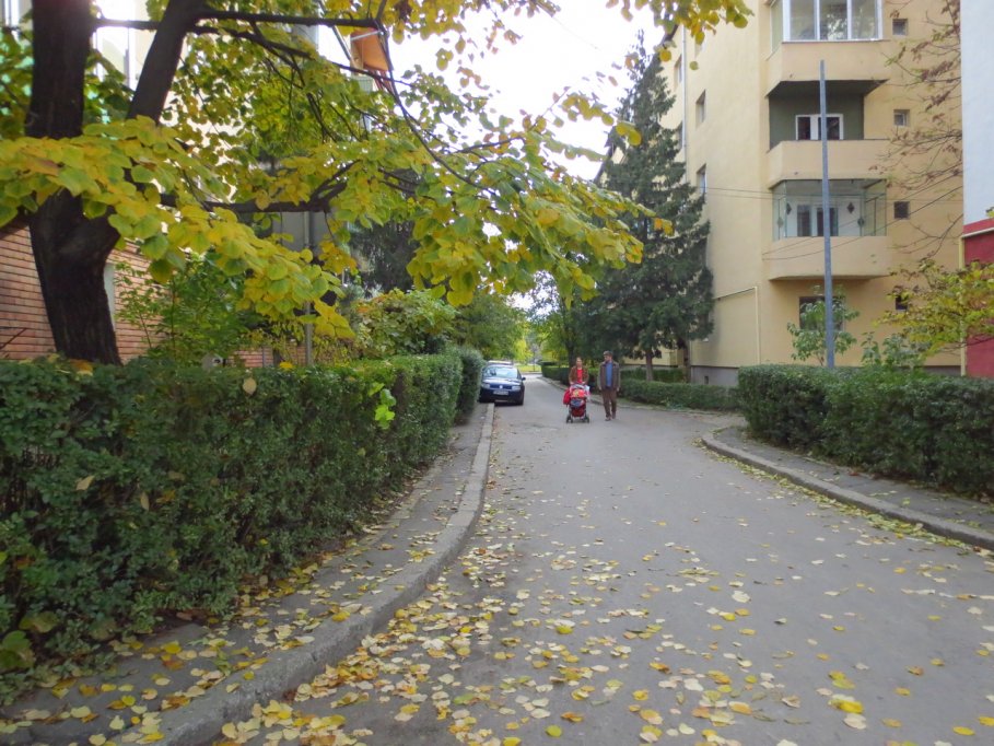 Aleea Smeurisului