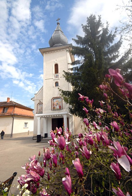 Manastirea Timiseni