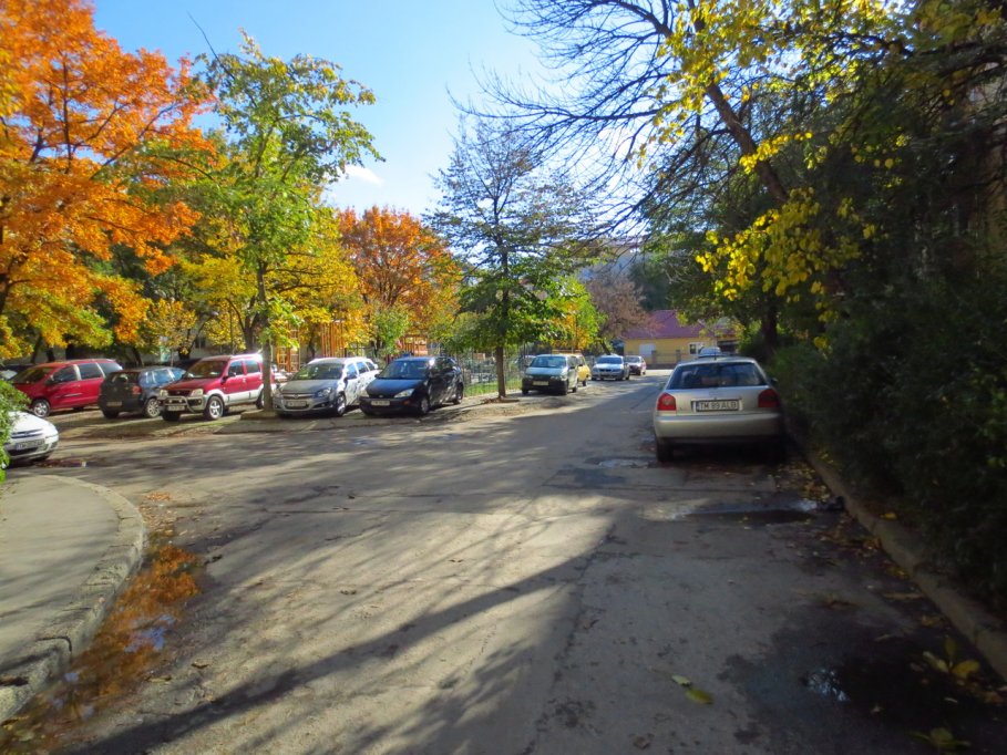 Piata Aron Cotrus