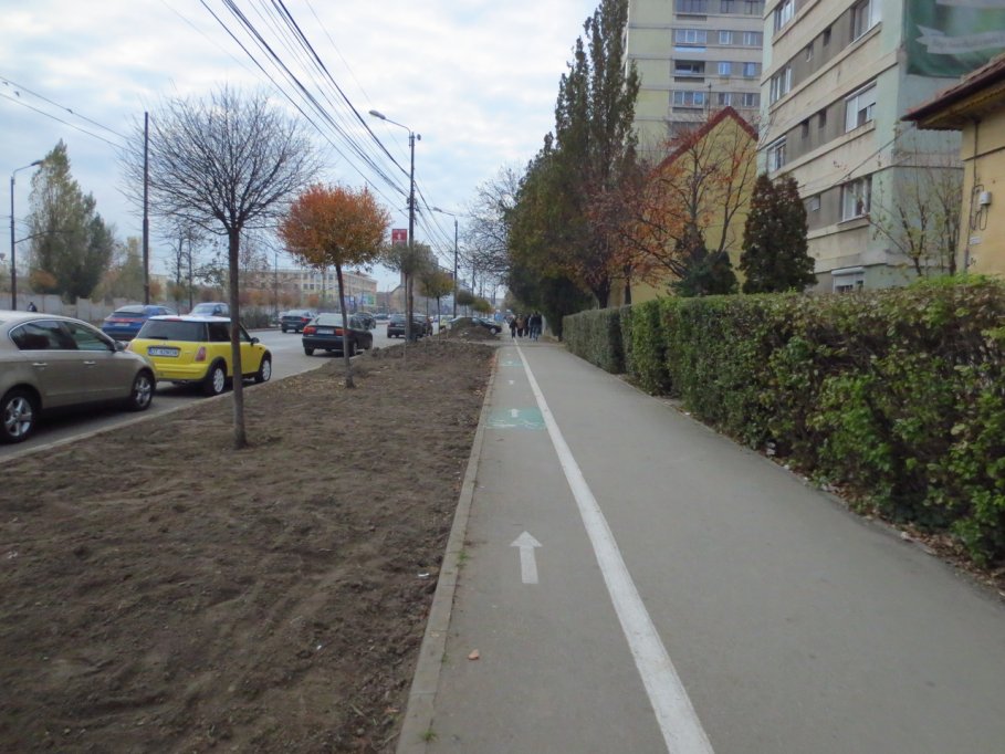 Pista bicicleta - Bulevardul Take Ionescu