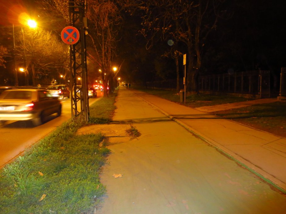 Pista bicicleta - Calea Alexandru Ioan Cuza