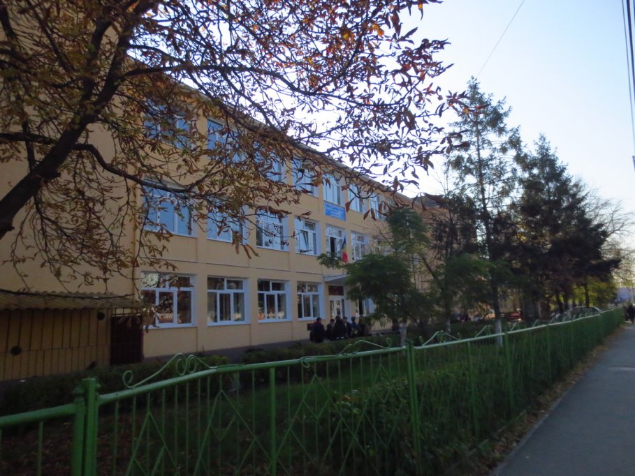Scoala Gimnaziala Nr. 19