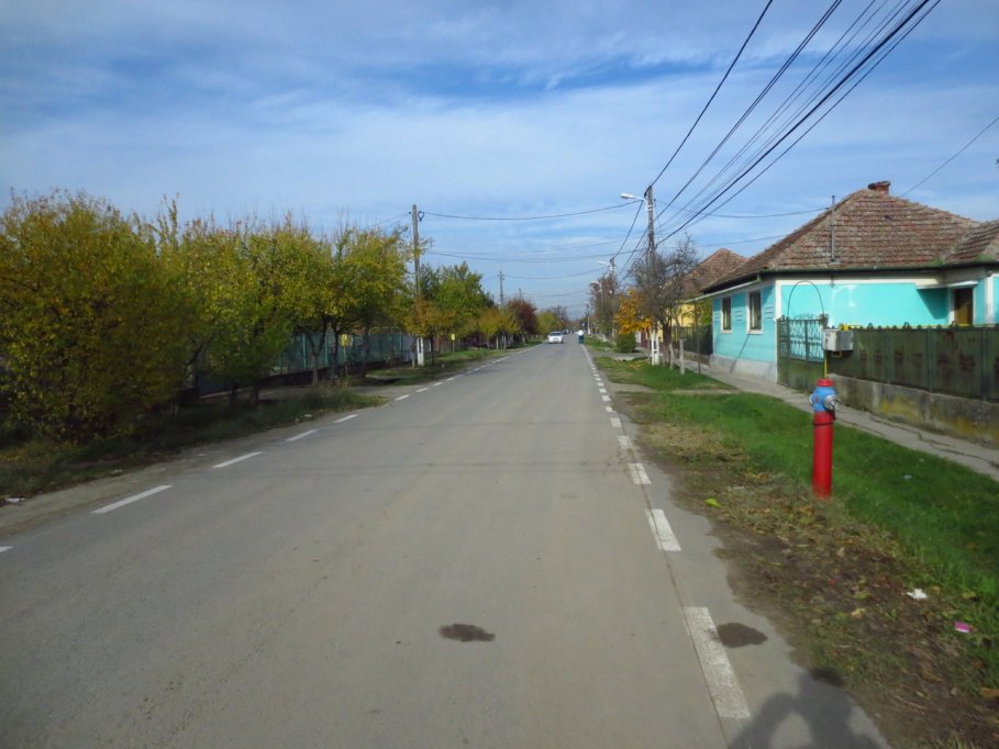 Strada Albastrelelor