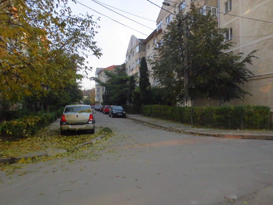 Strada Alexandru Miletici