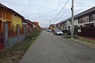 Strada Arinului
