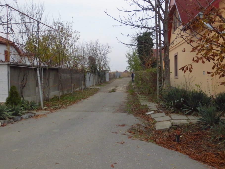 Strada Bela Lugosi
