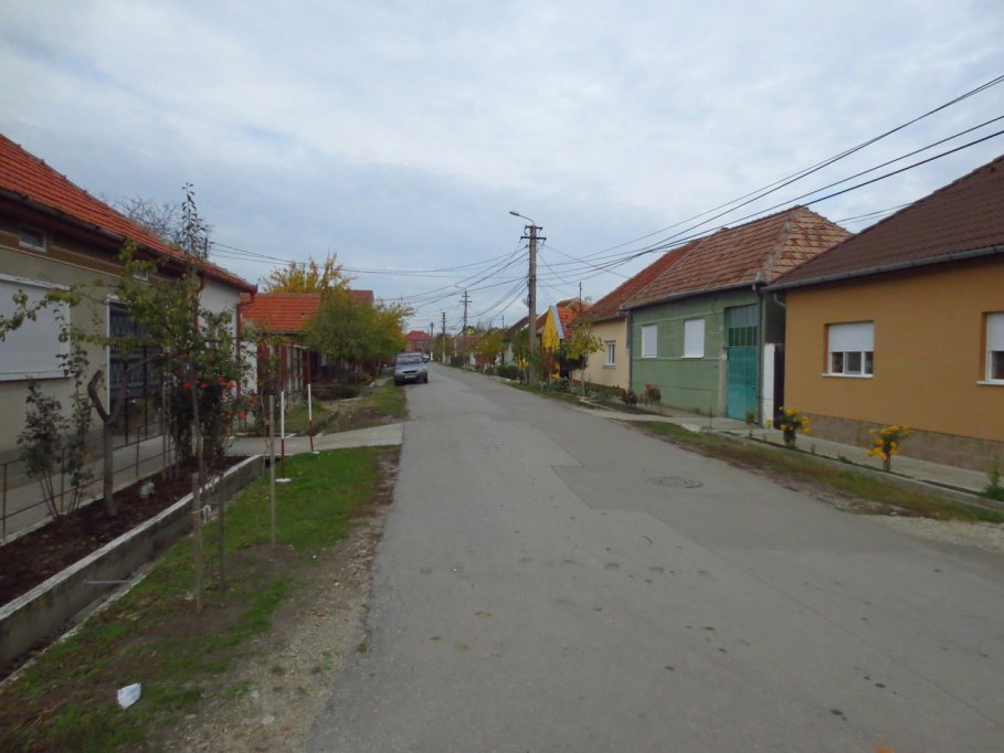 Strada Carabusului