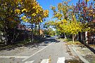 Strada Costinesti