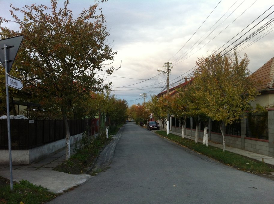 Strada Fermitatii