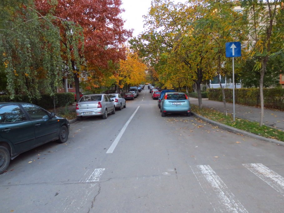 Strada Luminita Botoc