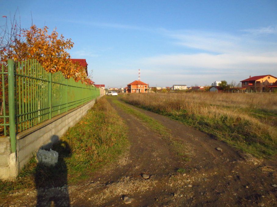 Strada Marius Moga