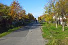 Strada Mesteacanului