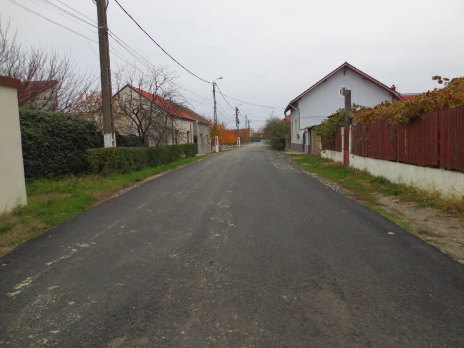 Strada Mircea Popa