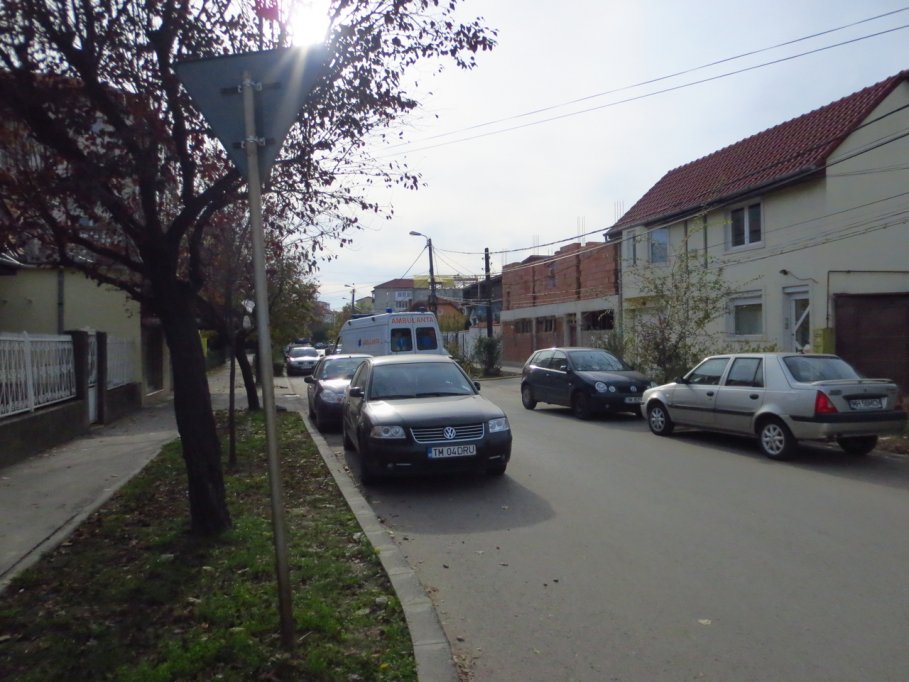 Strada Nicolae Leonard