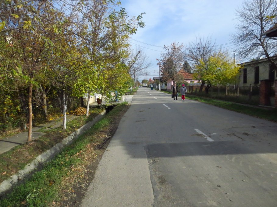 Strada Nicolae Tincu Velea