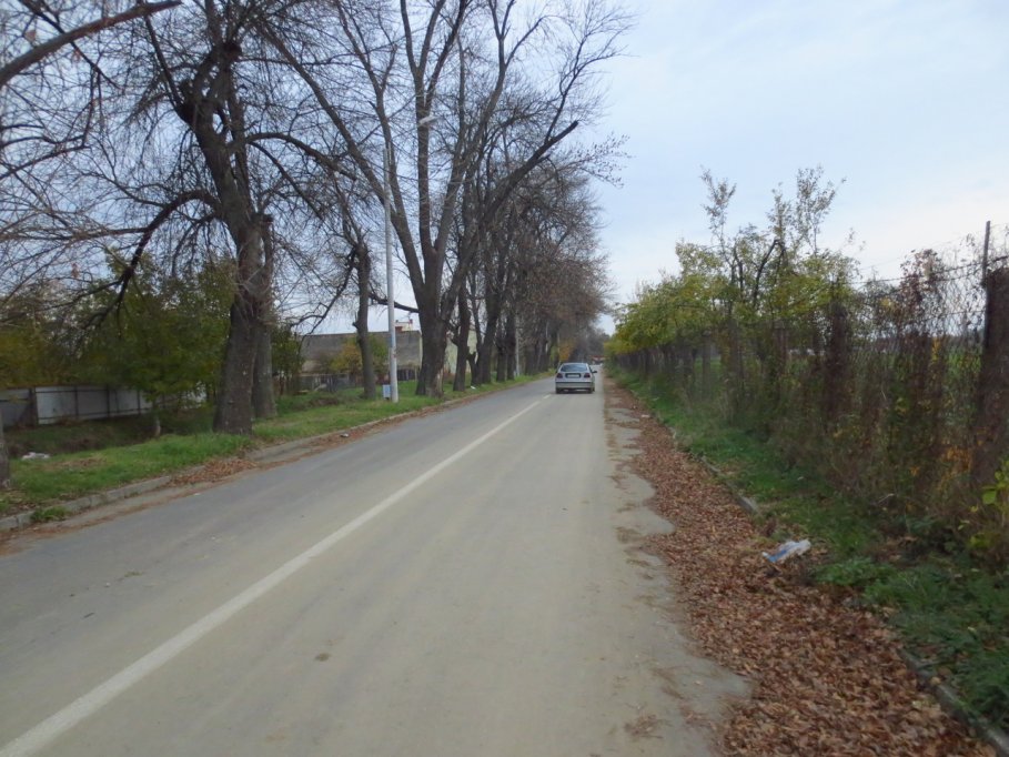 Strada Rozelor
